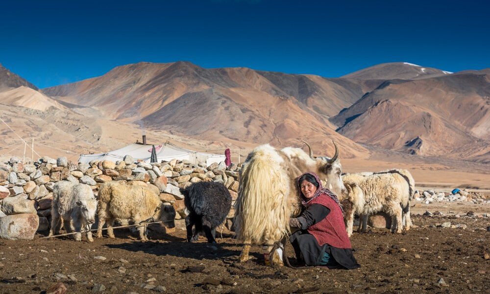 How We Support the Ladakhi Community