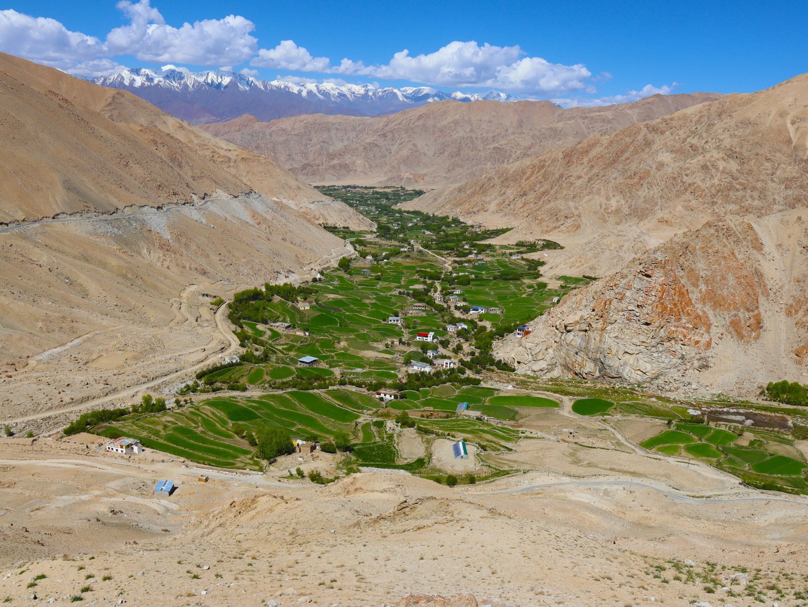 Ladakh landscape